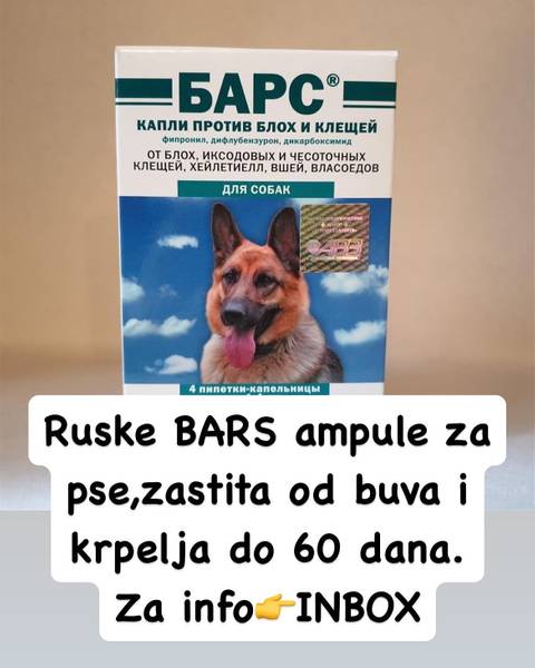 Na prodaju RUSKE BARS ampule za pse 🐶🐶🐶