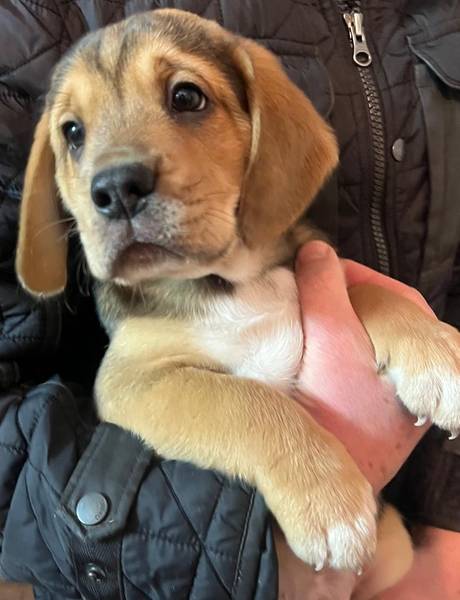 spreman za druženje